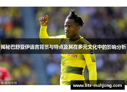 揭秘巴舒亚伊语言背景与特点及其在多元文化中的影响分析