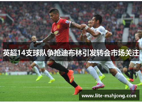 英超14支球队争抢迪布林引发转会市场关注 英超14支球队争抢迪布林引发转会市场关注