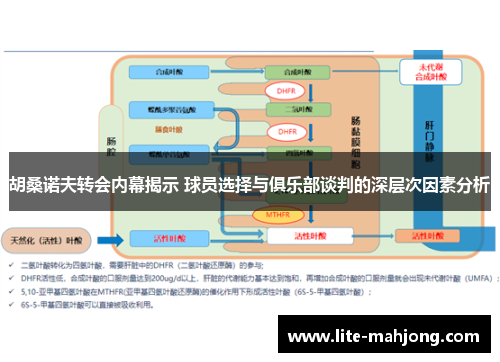 胡桑诺夫转会内幕揭示 球员选择与俱乐部谈判的深层次因素分析